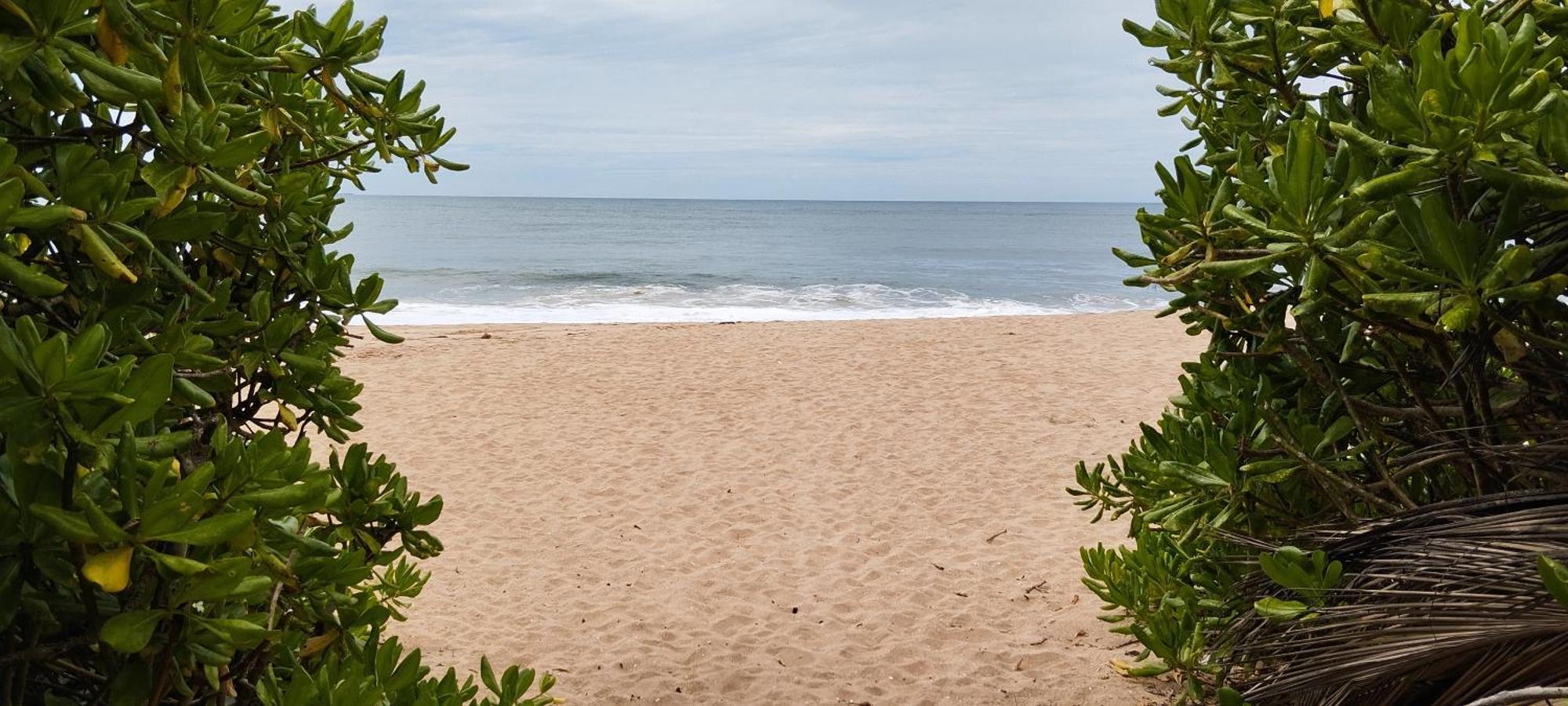 Eco Nest Marakolliya Acomodação com café da manhã Tangalle Exterior foto