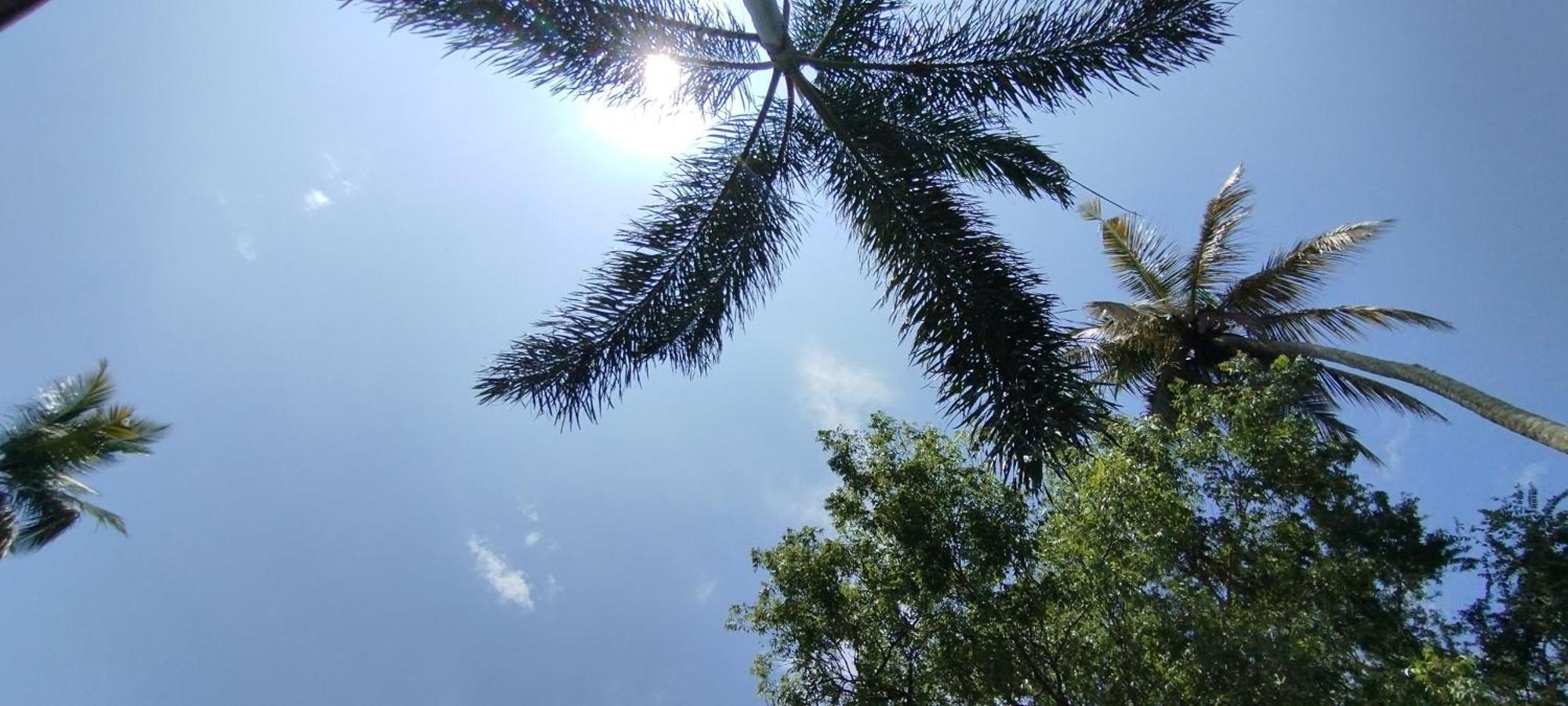 Eco Nest Marakolliya Acomodação com café da manhã Tangalle Exterior foto