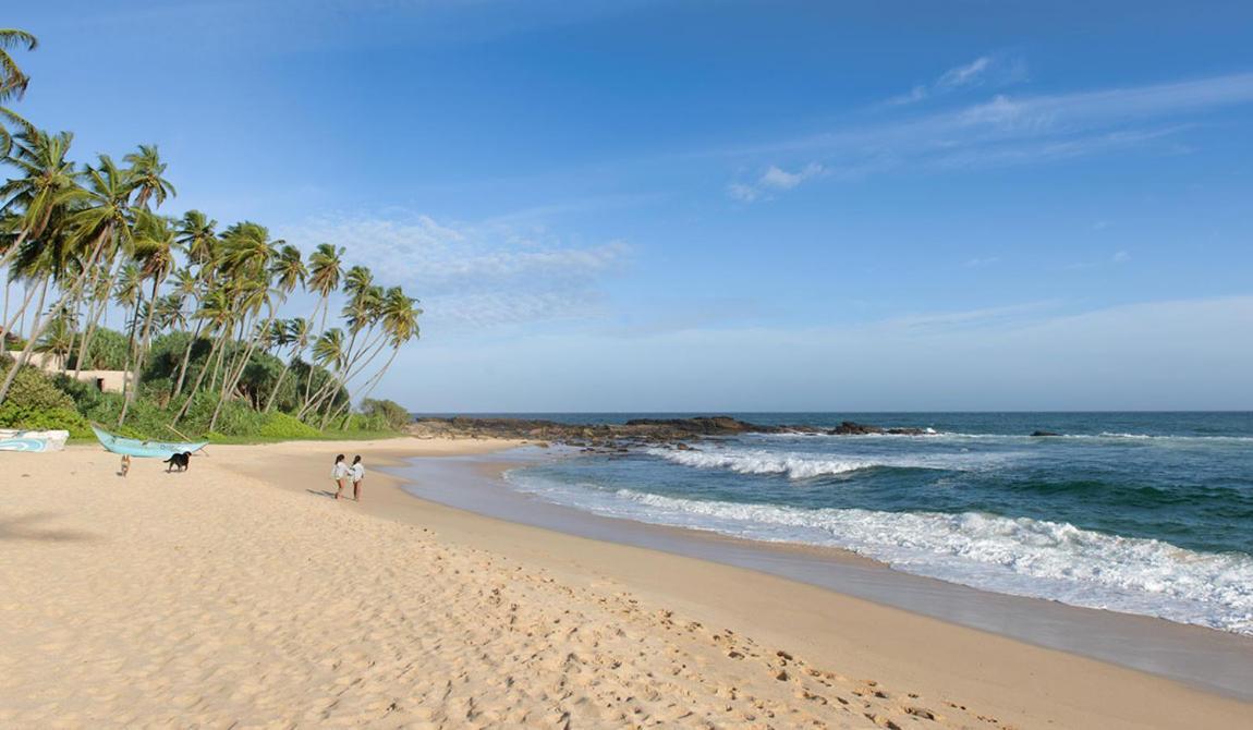 Eco Nest Marakolliya Acomodação com café da manhã Tangalle Exterior foto